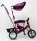 Велосипед дитячий триколісний Lex-007 (10/8 EVA wheels) Violet фіолетовий