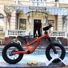 Біговел HAMMER HS-1 червоний магнієва рама та вилка 