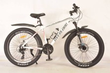 Гірський велосипед S700 Mercury OVERLORD біло-сірий колеса 24'' рама 14'' промпідшипник